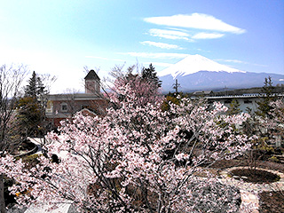 ハーブ庭園 旅日記 富士河口湖庭園 春の写真4