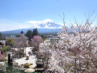 ハーブ庭園 旅日記 富士河口湖庭園 春の写真7
