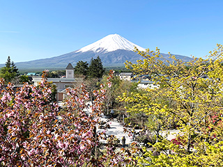 ハーブ庭園 旅日記 富士河口湖庭園 春の写真11