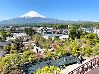 ハーブ庭園 旅日記 富士河口湖庭園 春の写真12
