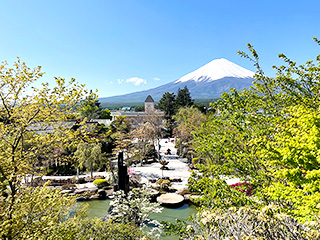 ハーブ庭園 旅日記 富士河口湖庭園 春の写真13
