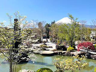 ハーブ庭園 旅日記 富士河口湖庭園 春の写真15