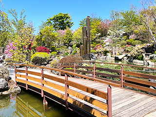 ハーブ庭園 旅日記 富士河口湖庭園 春の写真17