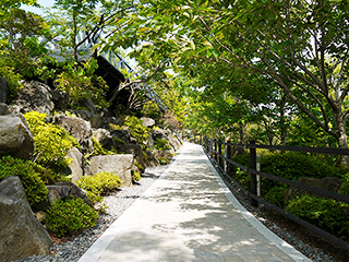 ハーブ庭園 旅日記 富士河口湖庭園 初夏の写真7