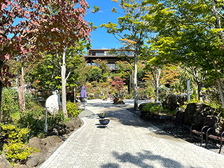ハーブ庭園 旅日記 富士河口湖庭園 初秋の写真16