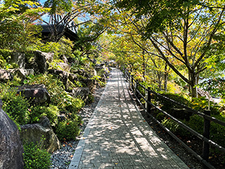 ハーブ庭園 旅日記 富士河口湖庭園 初秋の写真17