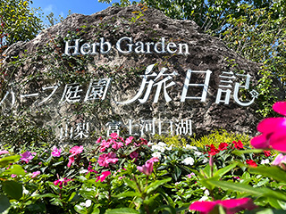 ハーブ庭園 旅日記 富士河口湖庭園 初秋の写真18