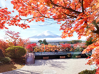ハーブ庭園 旅日記 富士河口湖庭園 晩秋の写真1