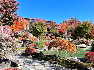 ハーブ庭園 旅日記 富士河口湖庭園 晩秋の写真8
