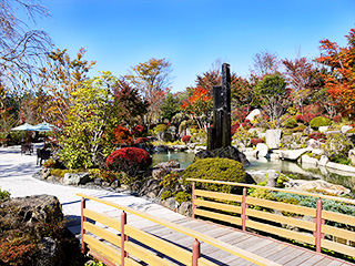 ハーブ庭園 旅日記 富士河口湖庭園 晩秋の写真11