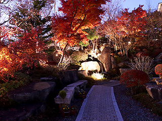 ハーブ庭園 旅日記 富士河口湖庭園 晩秋の写真17