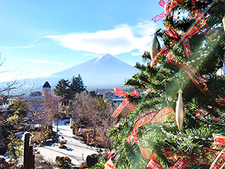 ハーブ庭園 旅日記 富士河口湖庭園 冬の写真1