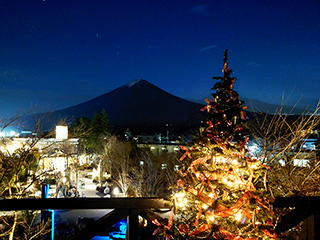 ハーブ庭園 旅日記 富士河口湖庭園 冬の写真2