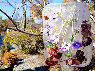 ハーブ庭園 旅日記 富士河口湖庭園 冬の写真10