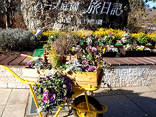 ハーブ庭園 旅日記 富士河口湖庭園 冬の写真11