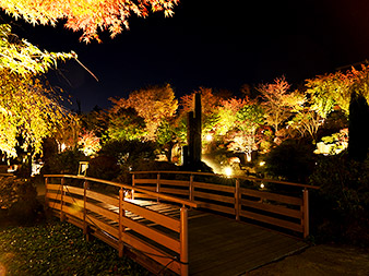 ハーブ庭園の晩秋23