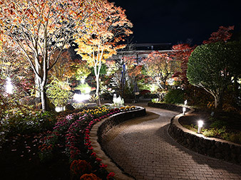 ハーブ庭園の晩秋24