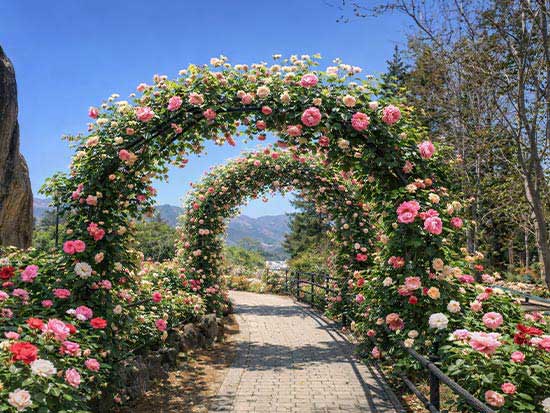 ふじさんデッキ